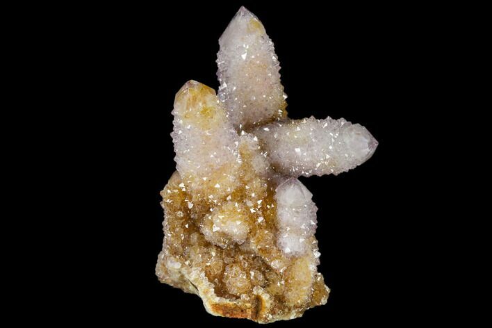 Cactus Quartz (Amethyst) Cluster - South Africa #115123